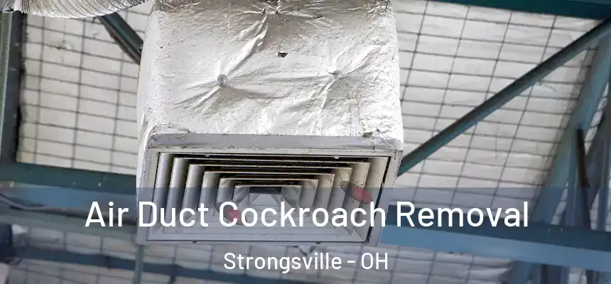  Air Duct Cockroach Removal Strongsville - OH