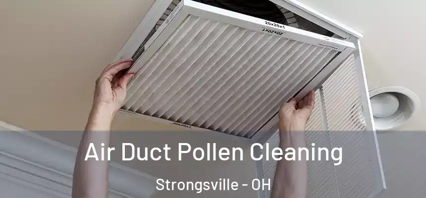  Air Duct Pollen Cleaning Strongsville - OH