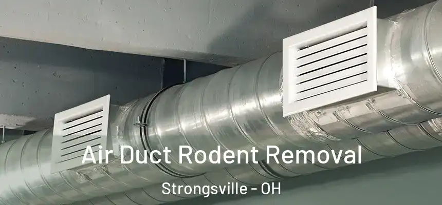  Air Duct Rodent Removal Strongsville - OH
