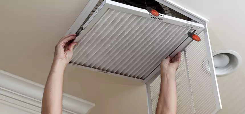Preventive Cockroach-Proofing for Ducts in Strongsville