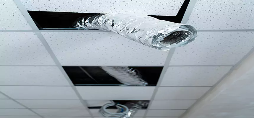 Our Air Duct Pet Hair Removal Services in Strongsville, OH