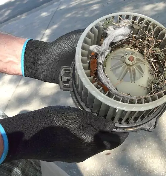 About Air Duct Rat Removal in Strongsville, OH